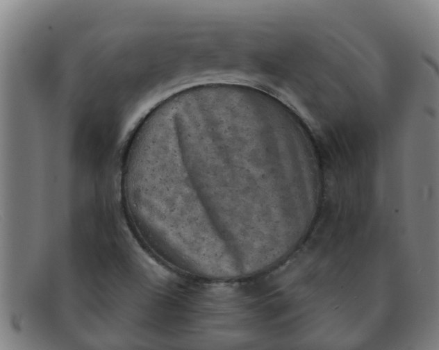X0000091351504200708311506