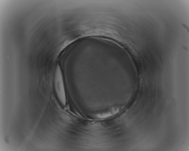 X0000091351505200708311506
