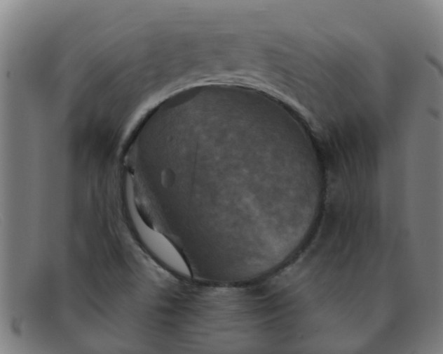 X0000091351506200708311506