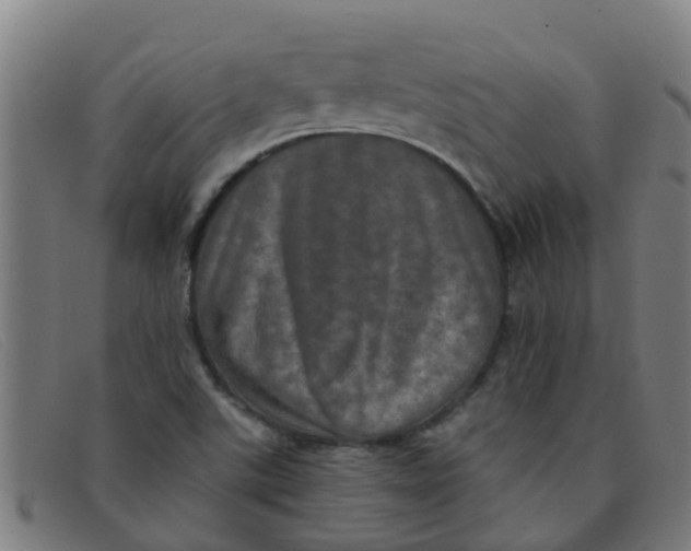 X0000091351507200708311506