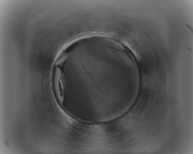 X0000091351508200708311506