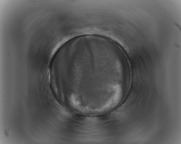 X0000091351509200708311506