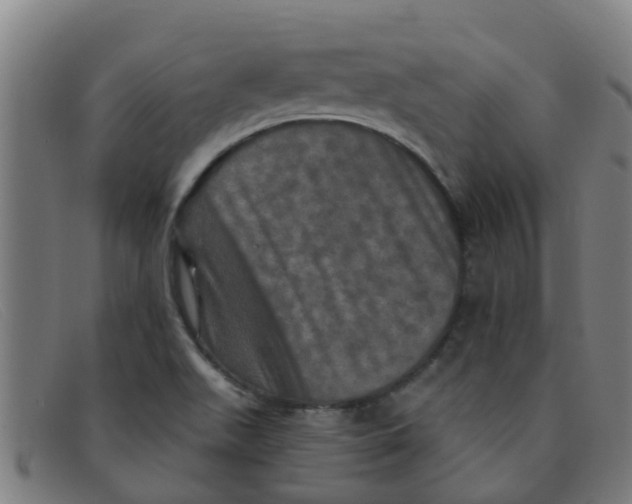 X0000091351511200708311506