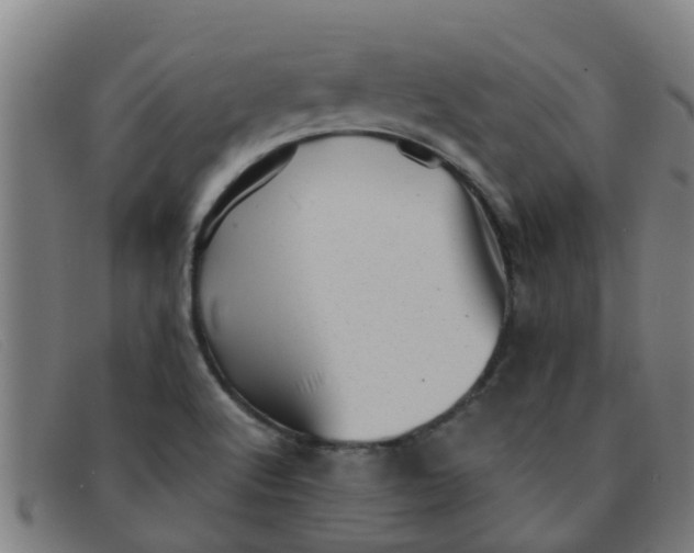 X0000091351512200708311506