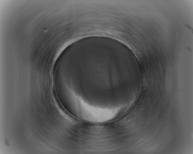 X0000091351515200708311506