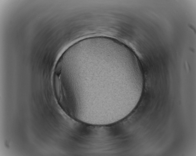 X0000091351516200708311506