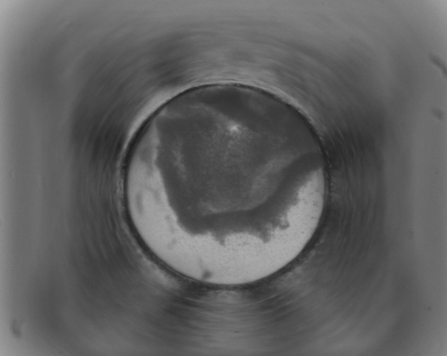 X0000091351517200708311506