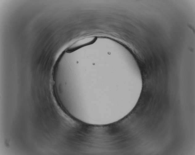 X0000091351518200708311506