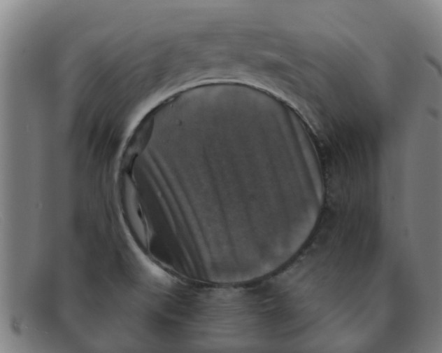 X0000091351519200708311506