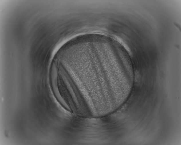X0000091351520200708311506