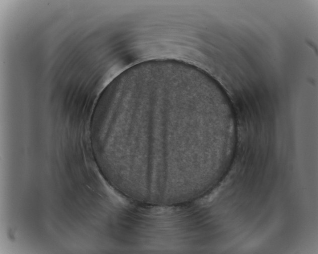 X0000091351521200708311506