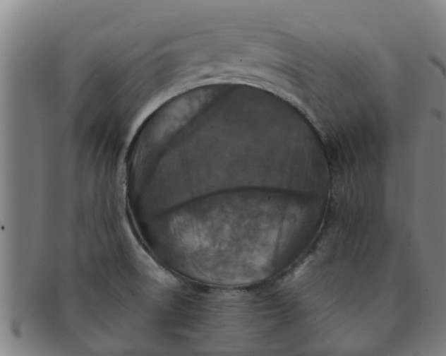 X0000091351522200708311506