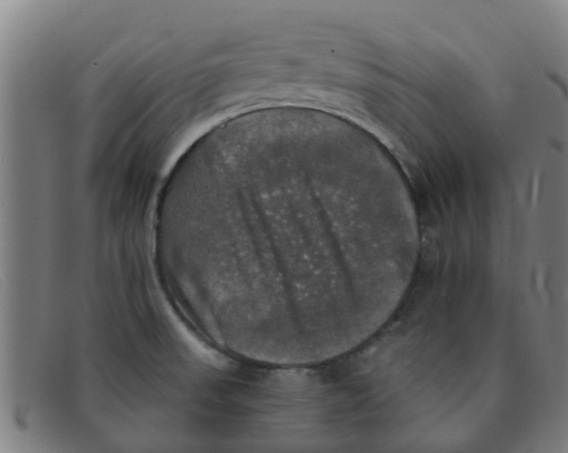 X0000091351523200708311506