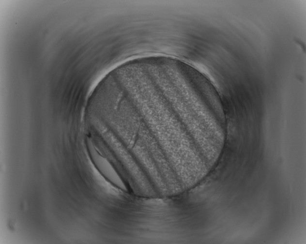 X0000091351524200708311506