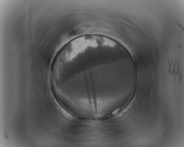 X0000091351525200708311506