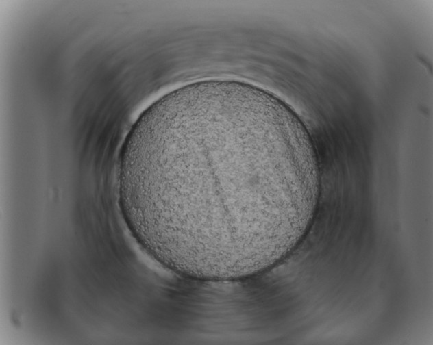X0000091351526200708311506
