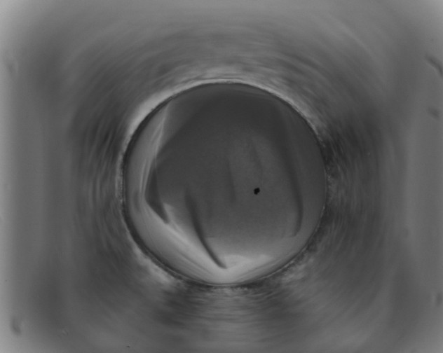 X0000091351527200708311506