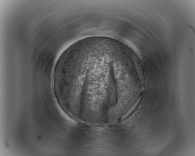 X0000091351528200708311506