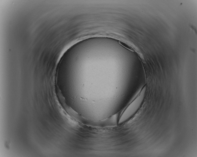 X0000091351530200708311506