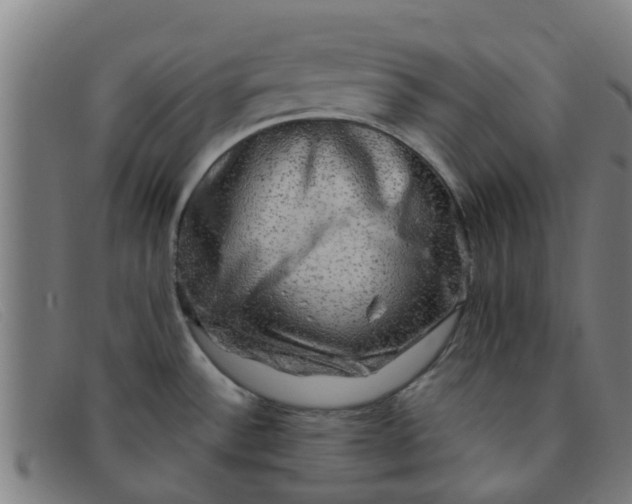 X0000091351532200708311506