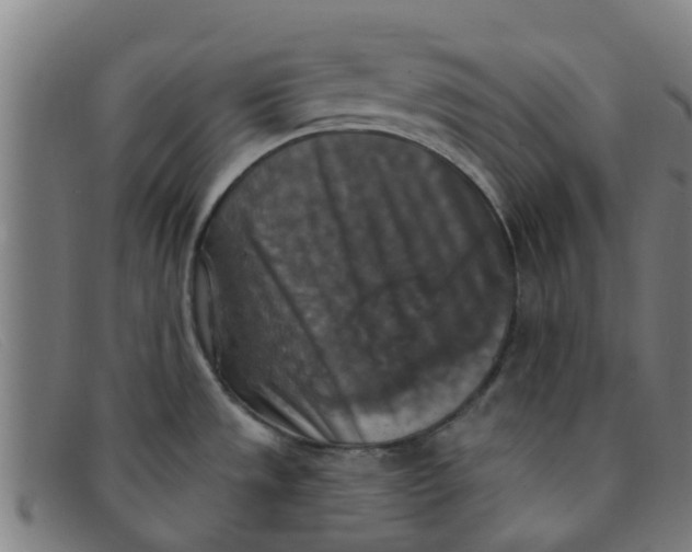 X0000091351533200708311506