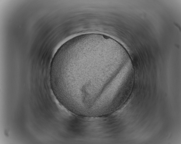X0000091351534200708311506