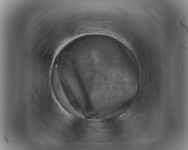 X0000091351536200708311506