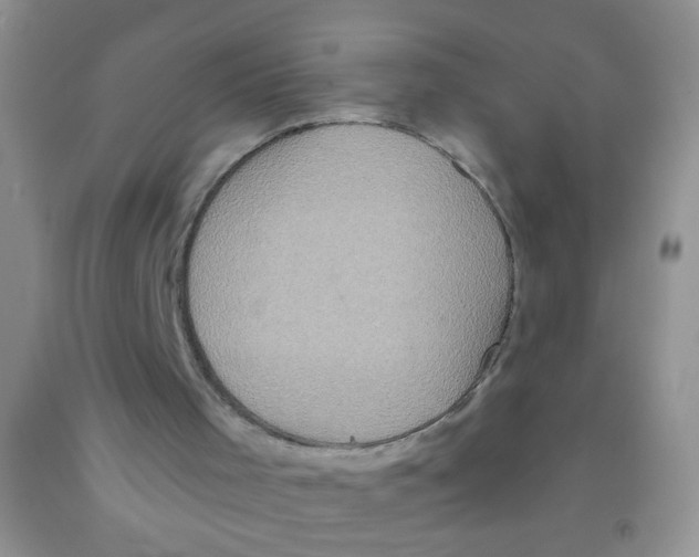 X0000091350001200709071248