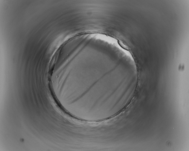 X0000091350002200709071248