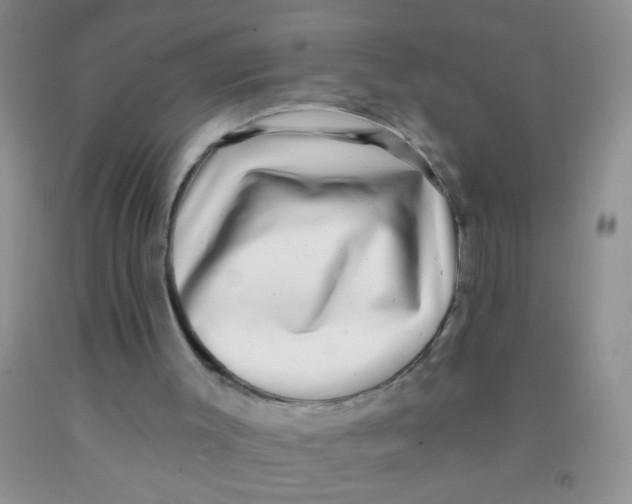 X0000091350003200709071248
