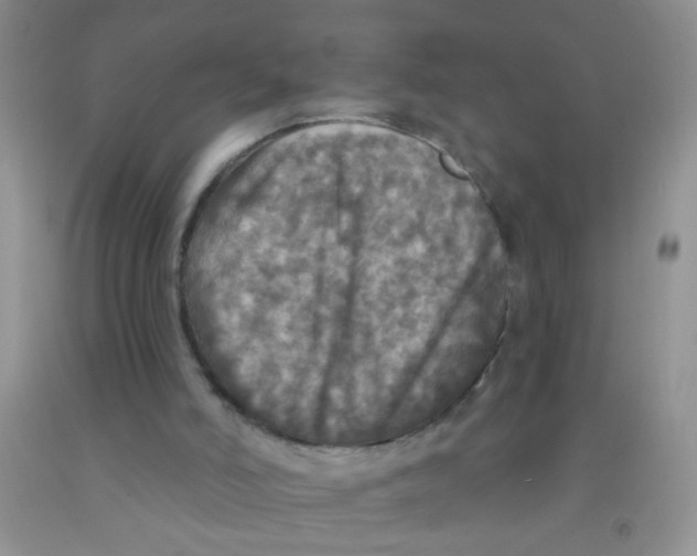 X0000091350006200709071248
