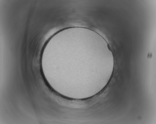 X0000091350008200709071248