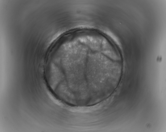 X0000091350009200709071248