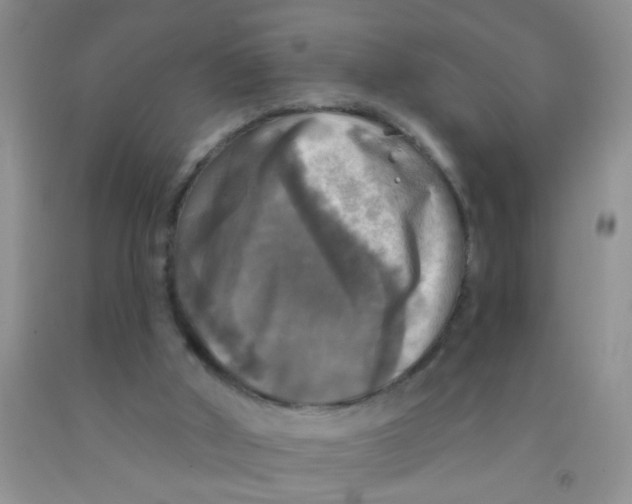 X0000091350010200709071248