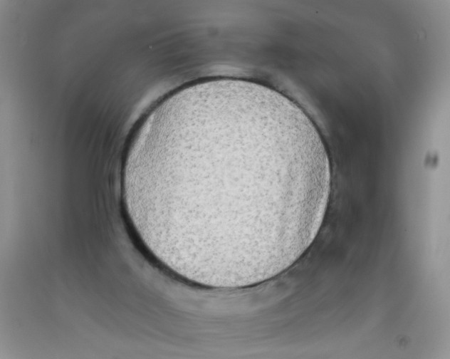 X0000091350011200709071248