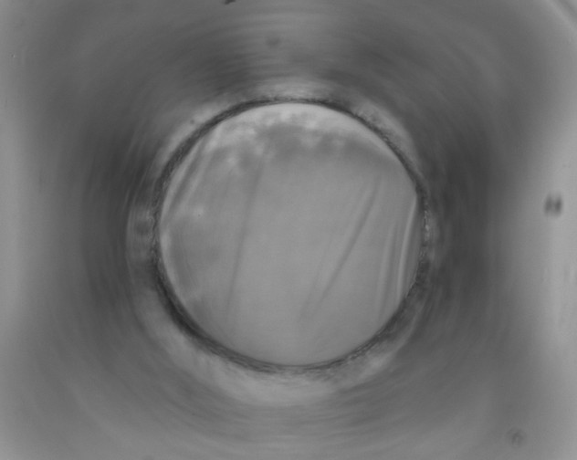 X0000091350012200709071248