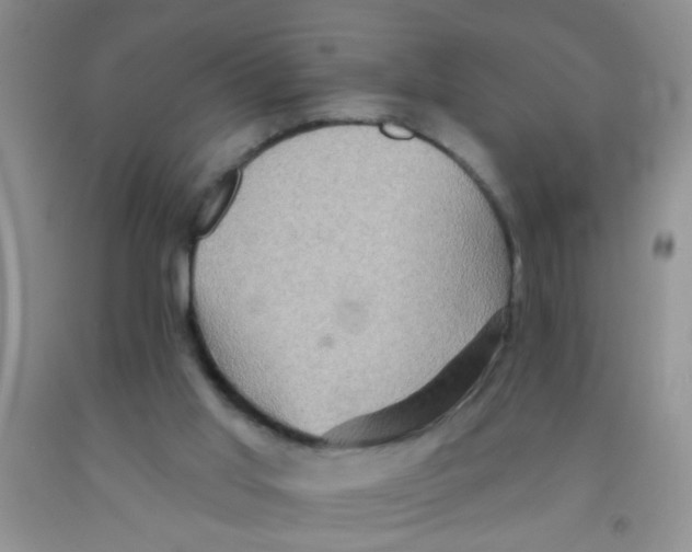 X0000091350013200709071248