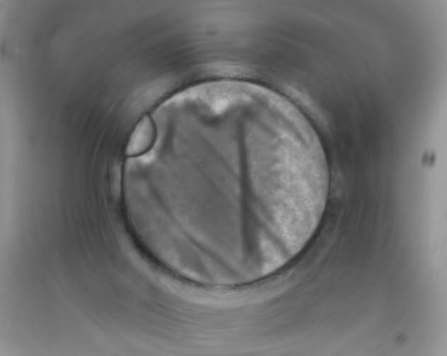 X0000091350014200709071248