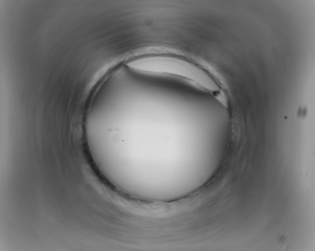 X0000091350015200709071248