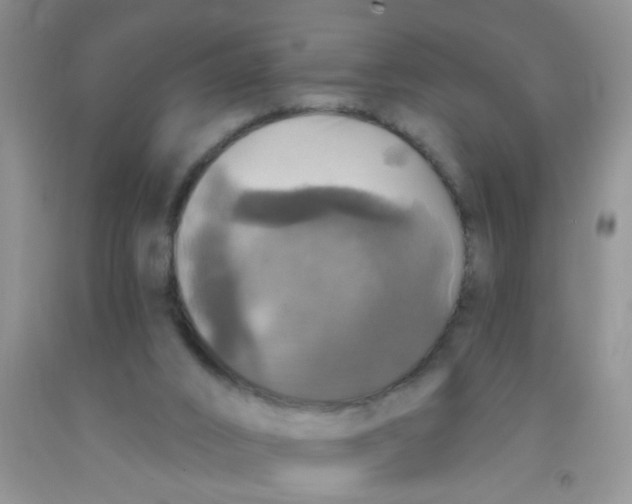 X0000091350016200709071248