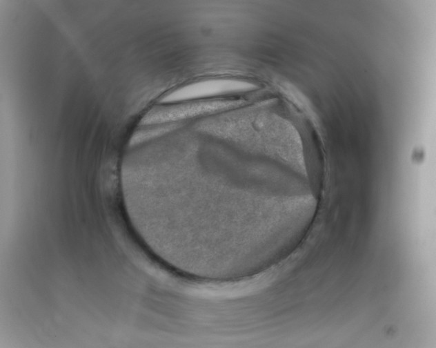 X0000091350017200709071248