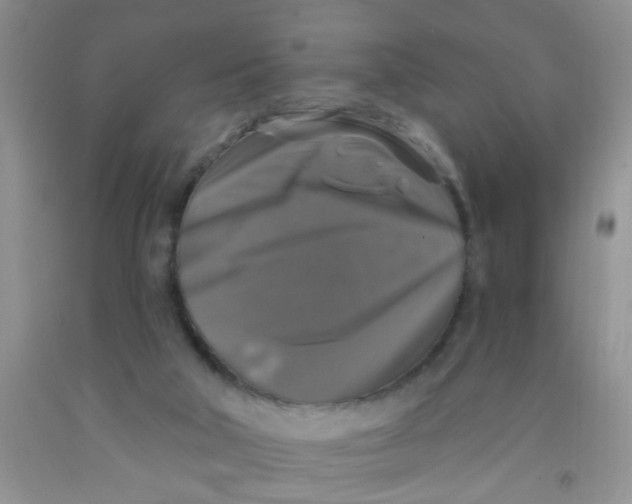 X0000091350018200709071248