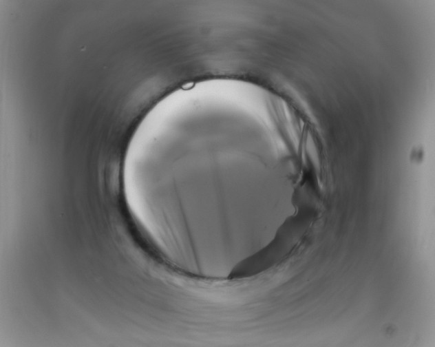 X0000091350019200709071248
