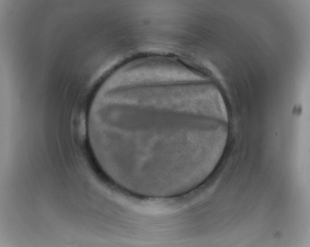 X0000091350020200709071248