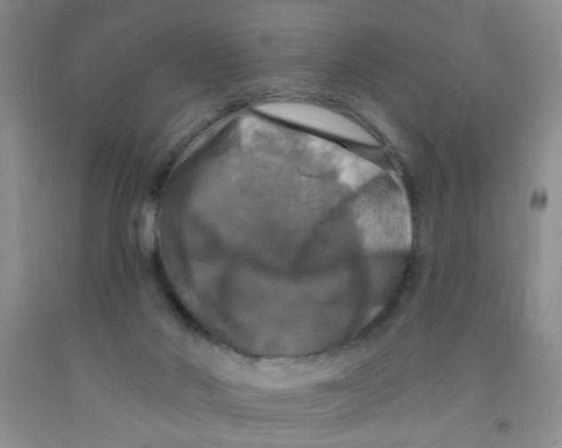 X0000091350022200709071248