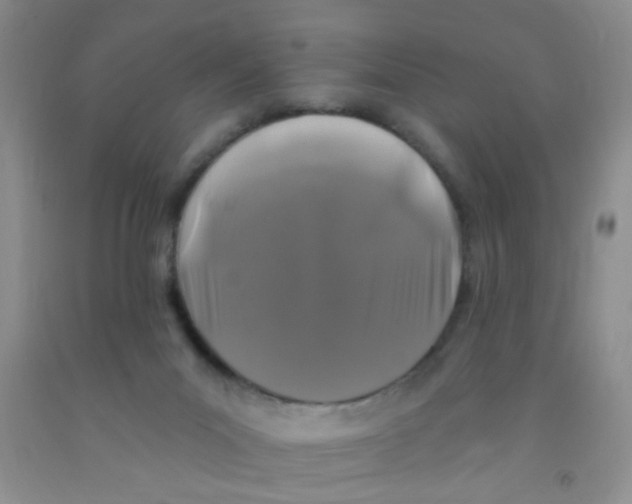 X0000091350023200709071248