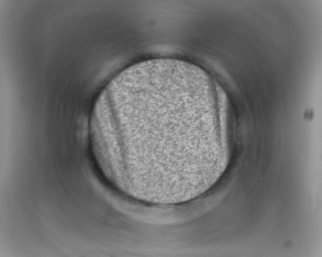 X0000091350024200709071248