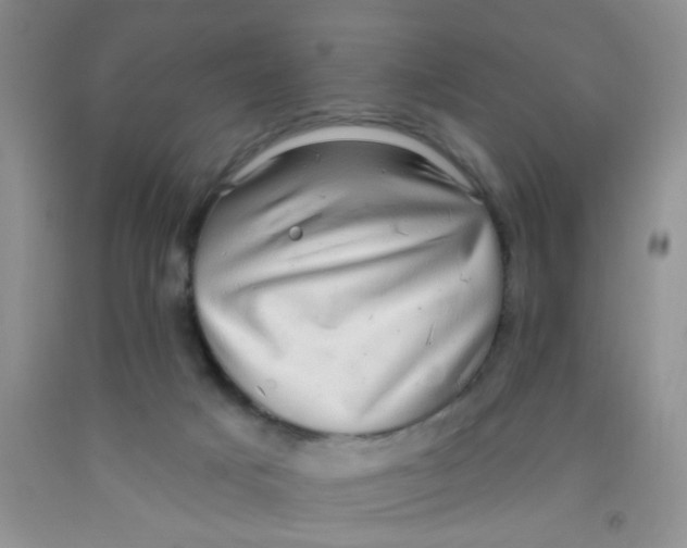 X0000091350025200709071248