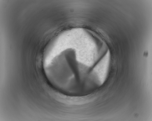 X0000091350026200709071248