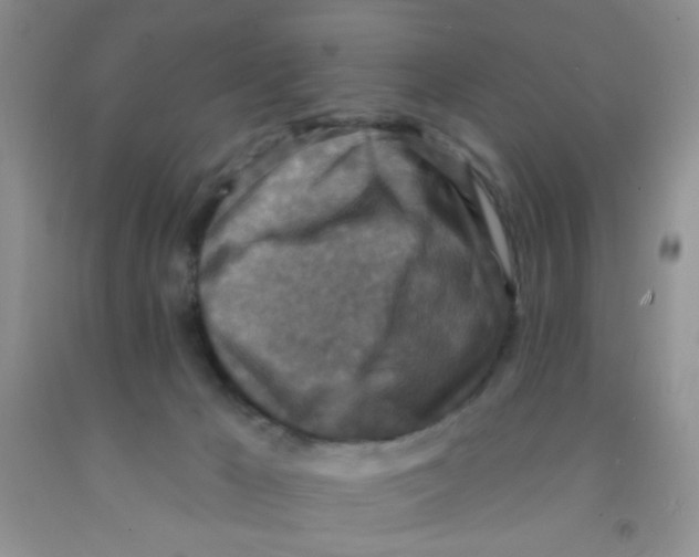 X0000091350029200709071248